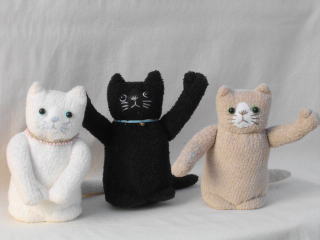 3�C�̃m���l�R